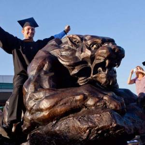 binghambearcat-05