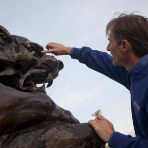 binghambearcat-10