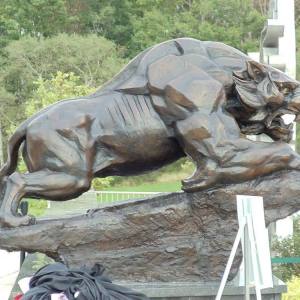 binghambearcat-12