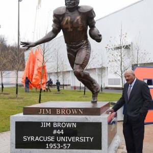 brown-1
