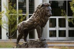 Lion - Missouri Southern State University
