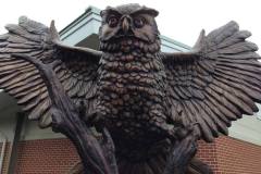 Owl - Rowan University