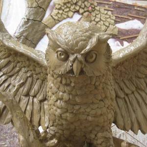 owl-9