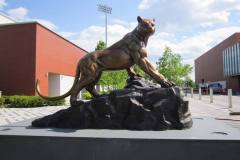 Panther - Adelphi University