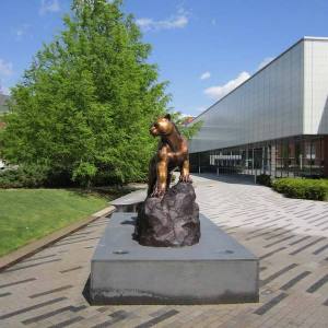 adelphi-5