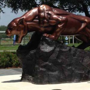 panther-4