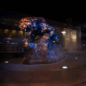 fiu-5