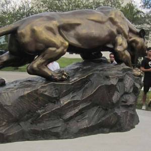 floridainternationaluniversitypanther-06