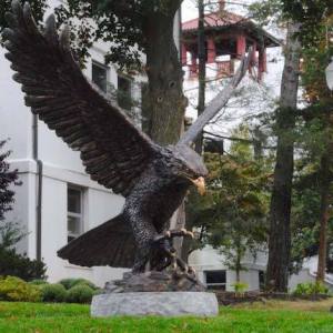 redhawk-1