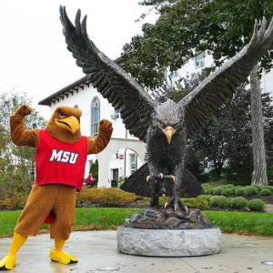 redhawk-11