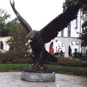 redhawk-3