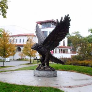 redhawk-4