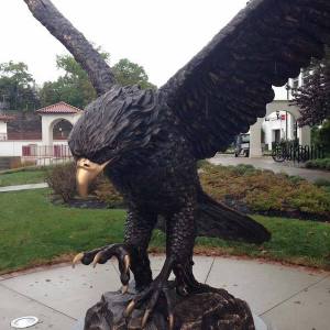 redhawk-6