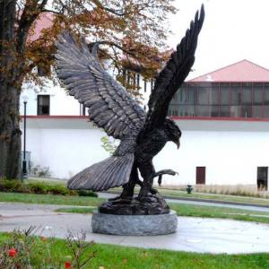 redhawk-7