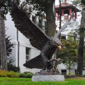 redhawk-gallery