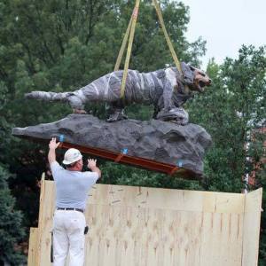 bearcat-7