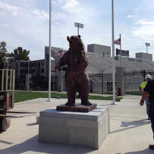 Bear - Missouri State University